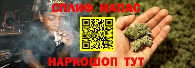 бошки Моздок