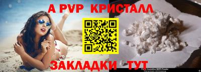 стафф Можга