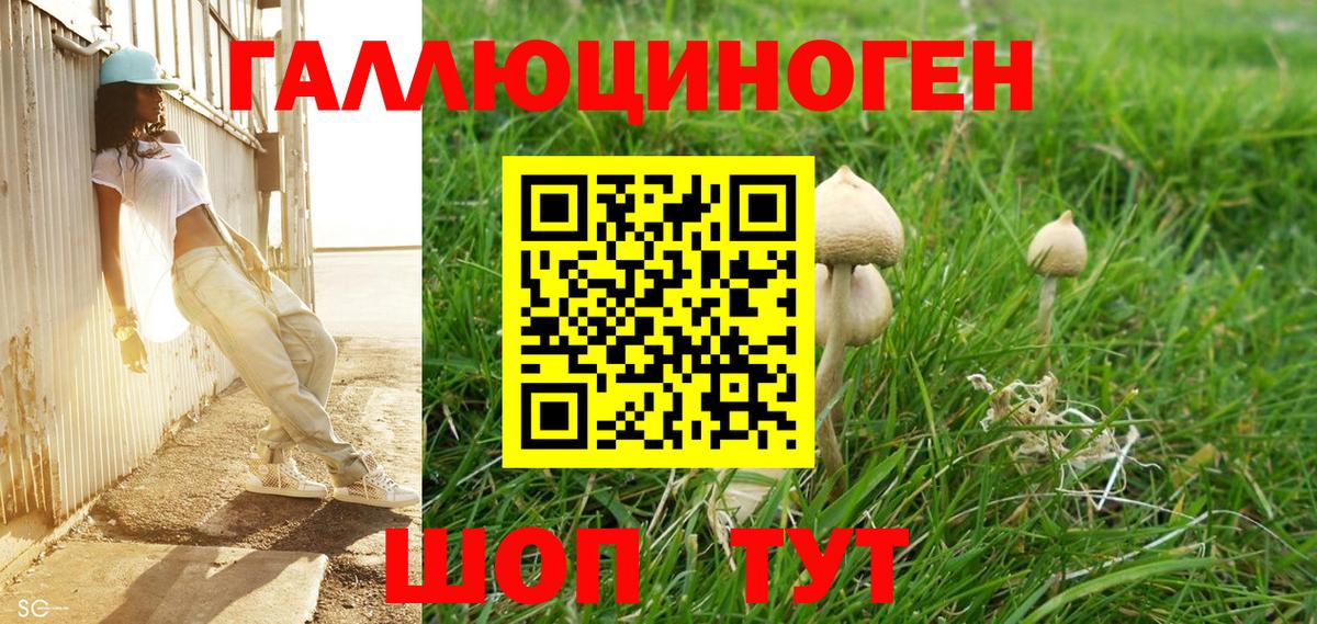 Горячий Ключ  Псилоцибиновые грибы MAGIC MUSHROOMS  Вход с VPN 