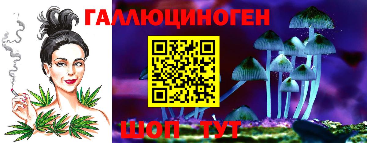 Псилоцибиновые грибы мухоморы Горячий Ключ